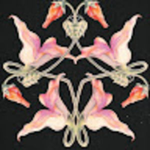 Meet your Posher, Becca